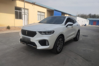 魏牌 VV5 2019款 升级款 2.0T 两驱超豪型 国V