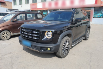 哈弗大狗 2021款 1.5T DCT两驱边牧版