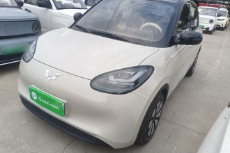 五菱汽车 五菱缤果 2024款 333km 悦享款