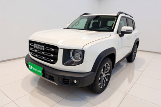 哈弗大狗 2021款 1.5T DCT两驱边牧版