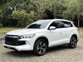 比亚迪 宋Pro新能源 2023款 冠军版 DM-i 110KM卓越型