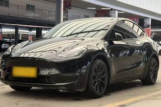 特斯拉 Model Y 2021款 标准续航后驱版