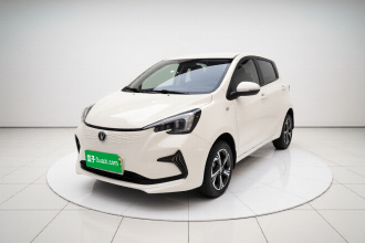 长安 奔奔E-Star 2022款 清心版 多彩款 磷酸铁锂