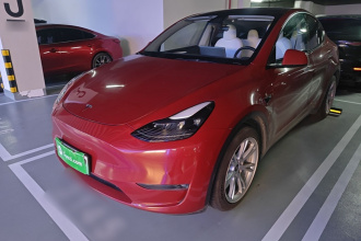特斯拉 Model Y 2021款 长续航全轮驱动版 3D7