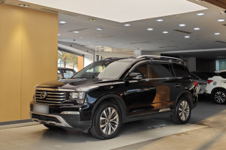 广汽传祺 传祺GS8 2017款 320T 两驱豪华智联版（七座）