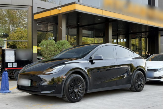 特斯拉 Model Y 2022款 后轮驱动版