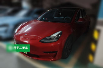 特斯拉 Model 3 2019款 标准续航后驱升级版