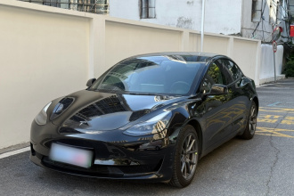 特斯拉 Model 3 2021款 标准续航后驱升级版 3D6