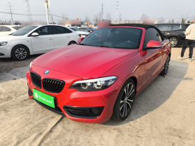 宝马2系(进口) 2019款 225i 敞篷轿跑车 运动设计套装