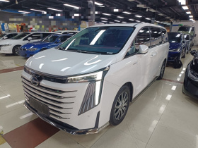 广汽传祺 传祺E9 2023款 E9 MAX