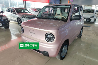 吉利银河 2023款 熊猫mini 200km 耐力熊