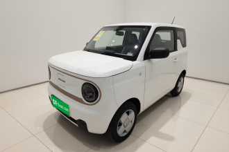 吉利银河 2024款 熊猫mini 200km 耐力熊