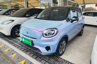 零跑汽车 零跑T03 2024款 310舒享版