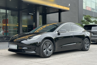 特斯拉 Model 3 2020款 改款 标准续航后驱升级版