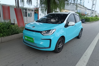 思皓 2022款 花仙子款 四叶草