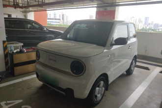 吉利银河 2023款 熊猫mini 200km 耐力熊