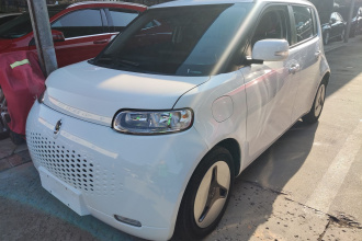 欧拉白猫 2020款 360km 豪华型