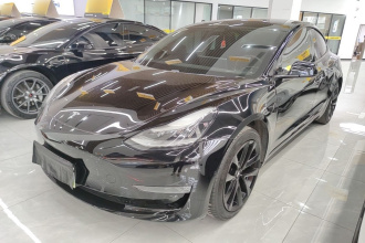 特斯拉 Model 3(进口) 2019款 长续航后驱版
