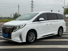 广汽传祺 传祺M8 2021款 大师系列 390T 至尊版