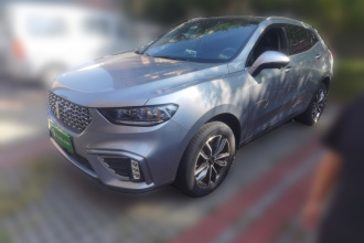 魏牌 VV5 2021款 1.5T 两驱颜先锋