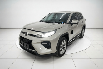 丰田 威兰达 2020款 2.0L CVT两驱豪华版