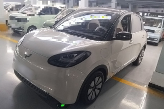 五菱汽车 五菱缤果 2023款 333km 快享款