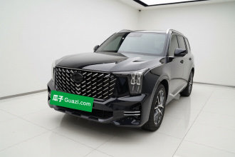 广汽传祺 传祺GS8 2025款 领航系列 2.0TGDI 两驱豪华版 5座