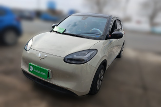 五菱汽车 五菱缤果 2023款 333km 灵犀互联款