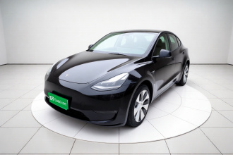 特斯拉 Model Y 2021款 标准续航后驱版