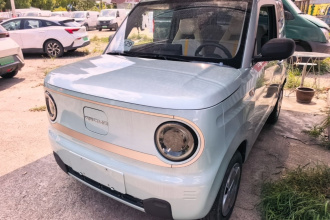 吉利银河 2023款 熊猫mini 200km 耐力熊