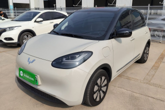 五菱汽车 五菱缤果 2024款 333km 悦享款