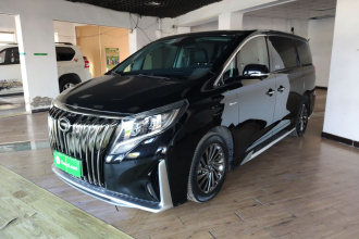 广汽传祺 传祺M8 2021款 大师系列 390T 至尊版