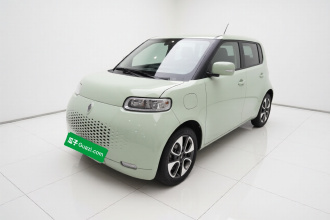 欧拉白猫 2020款 305km 豪华型