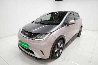 比亚迪 海豚 2021款 401km 骑士版