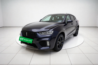 魏牌 VV7 2019款 升级款 2.0T 旗舰型 国VI