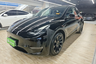 特斯拉 Model Y 2021款 长续航全轮驱动版 3D7