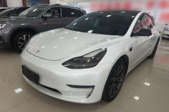 特斯拉 Model 3 2020款 改款 长续航后轮驱动版