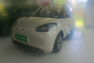 五菱汽车 五菱缤果 2023款 333km 悦享+款