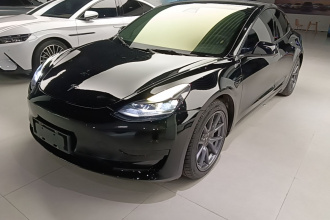 特斯拉 Model 3 2021款 标准续航后驱升级版 3D6