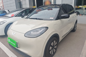 五菱汽车 五菱缤果 2024款 333km 灵犀互联款