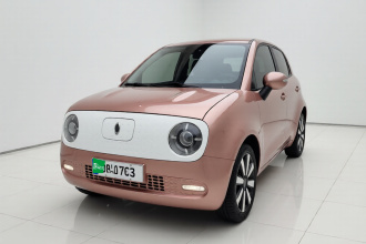 欧拉黑猫 2021款 351km 豪华型