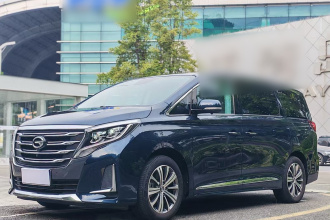 广汽传祺 传祺M8 2020款 领航款 390T 尊贵版