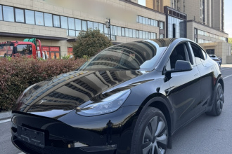 特斯拉 Model Y 2023款 长续航全轮驱动版