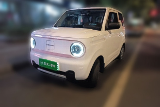 吉利银河 2024款 熊猫mini 200km 耐力熊