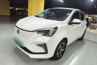 长安 奔奔E-Star 2020款 心悦版 三元锂