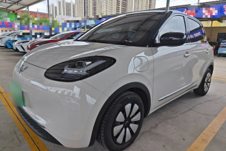 五菱汽车 五菱缤果 2024款 333km 悦享款