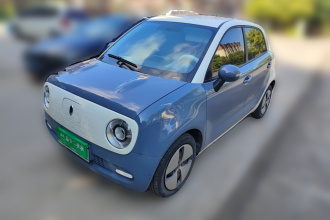 欧拉黑猫 2021款 301km 基础型