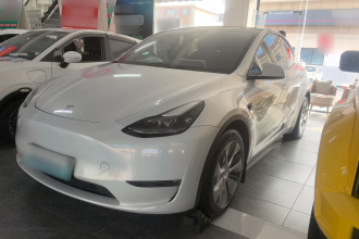 特斯拉 Model Y 2021款 标准续航后驱版