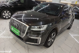 奥迪Q2L e-tron 2019款 Q2L e-tron 纯电智享型