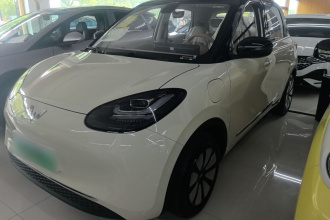 五菱汽车 五菱缤果 2025款 333km 悦享款